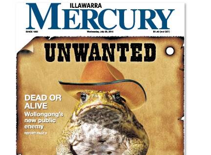 Menace: How the Mercury reported the impending cane toad threat to the region.