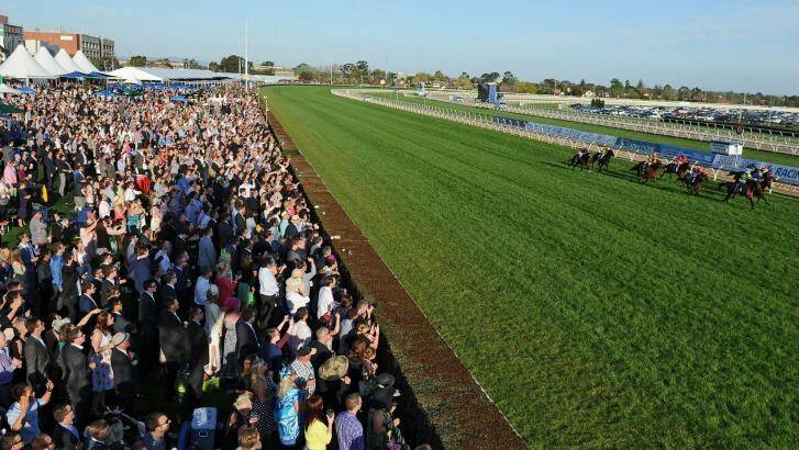Punters galore: Tracking the action on Caulfield Guineas day. Photo: Vince Caligiuri