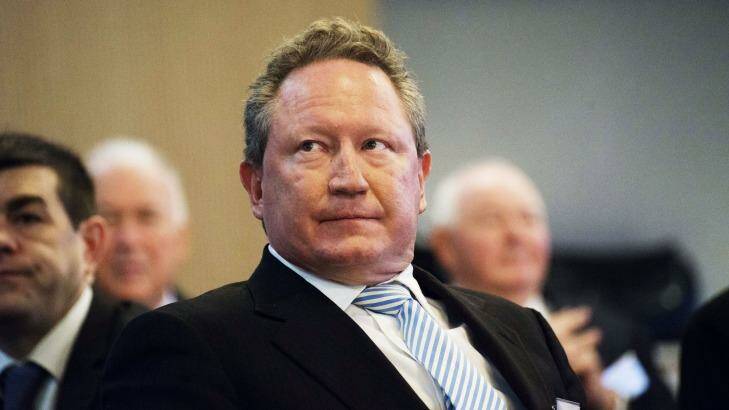 Fortescue Metals Group chairman Andrew Forrest. Photo: Christopher Pearce
