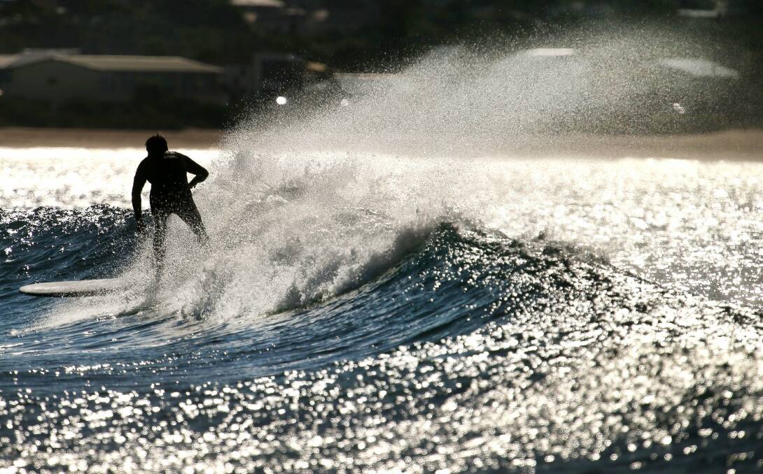 Longboarders off Bellambi Beach on Monday make the most of ideal surfing conditions. Picture: KIRK GILMOUR