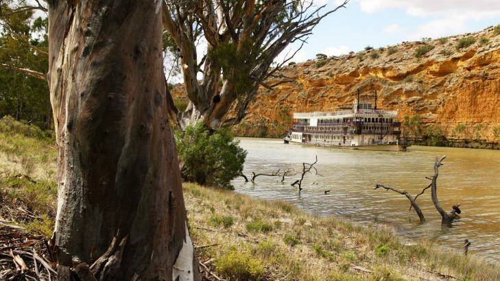 The paddle-wheeler Murray Princess explores the northern Murray River from Mannum to Morgan.