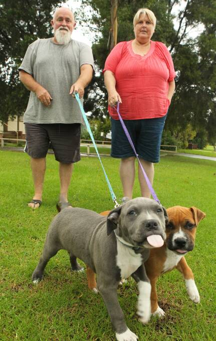 Upset: Andrew and Karen Sloane with puppies Bronson and Phoenix. Picture: KIRK GILMOUR