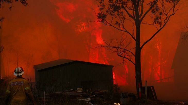 NSW RFS crews struggle to save a home near Dargan on the Bells Line of Road during the Blue Mountains bush fires in 2013. Photo: Wolter Peeters