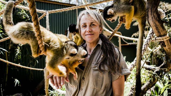 Zookeeper Lou Grossfeldt with Mogo Zoo's Bolivian squirrel monkeys. Photo: Jamila Toderas