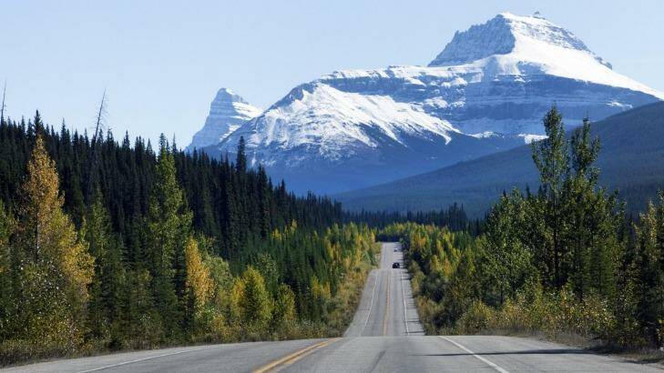 Beautiful drive: The Icefields Parkway, Canada. Photo: iStock