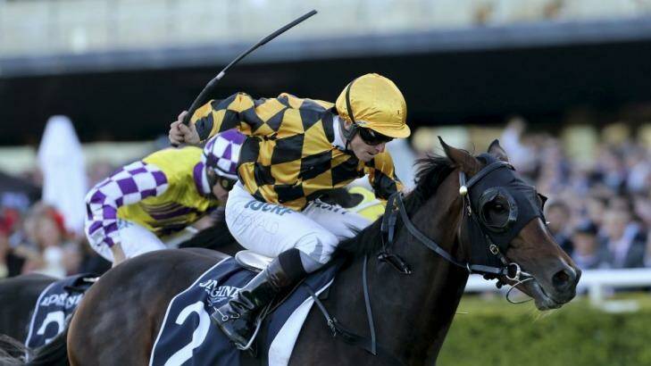 All over: It’s A Dundeel, with James McDonald on board, wins Sydney’s richest race, the $4 million Queen Elizabeth Stakes. Photo: Damian Shaw