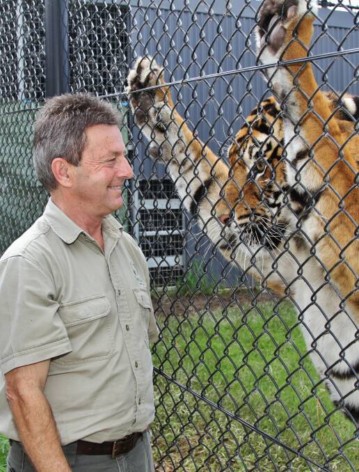 Loving care: Symbio Wildlife Park managing director John Radnidge makes sure one of his feline wards is in good nick. Picture: GREG ELLIS