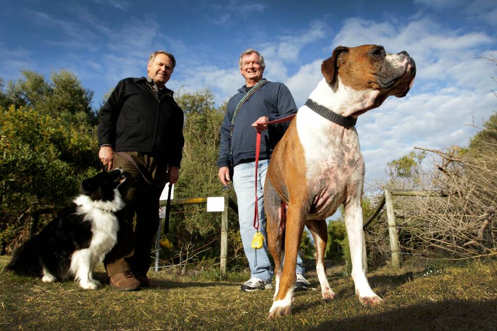 Ian Hornsby with Angel and councillor Mark Way with Kong at the southern end of Jones Beach, which will become an off-leash area in a trial from October 1. Picture: SYLVIA LIBER