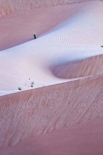 Photo eight: Desert walk. Photo: Alia Naughton