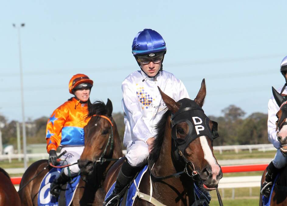 Brilliant Meteor took out the Class Two (2000m) at Kembla. Picture: GREG TOTMAN