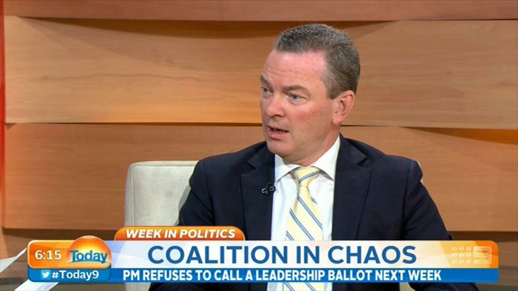 Christopher Pyne said he "hopes" Tony Abbott has the numbers on Today. Photo: Channel Nine