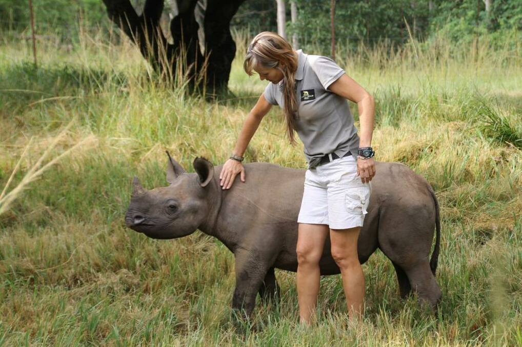 Meeting a young rhino.