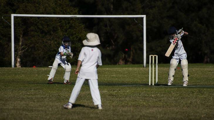 The Leichhardt Wanderers take on the Lower North Shore All Stars in the under-10s winter cricket semi-final at Flockhart Park, Croydon. Photo: Christopher Pearce