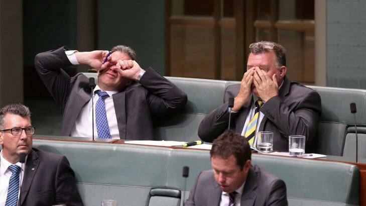 Dennis Jensen and Craig Kelly during question time at Parliament House last December.  Photo: Andrew Meares