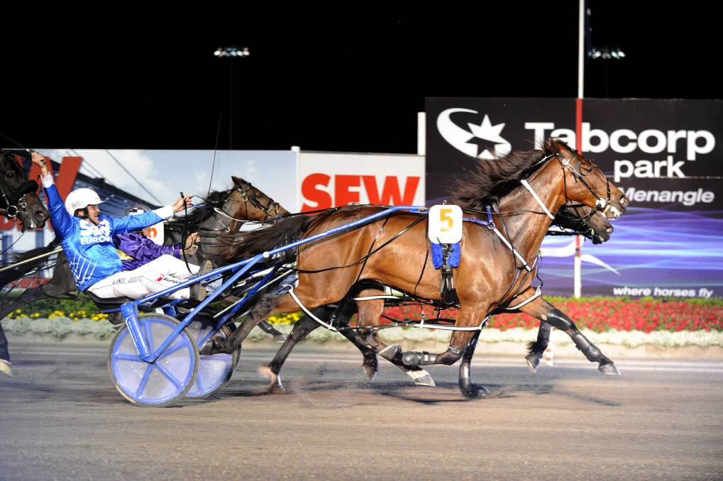 Mighty warrior: Smoken Up will likely say farewell to his NSW followers in the Brian Hancock Cup at Menangle.