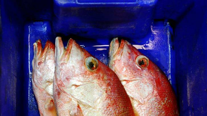 Up to 70 per cent of seafood consumed in Australia is imported.