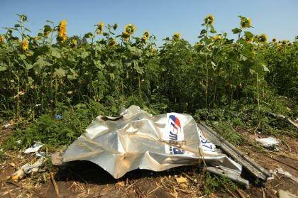 Atrocity: Plane debris from the MH17 sits among sunflowers in a field in Ukraine's Donetsk province. Fairfax journalist Paul McGeough and photographer Kate Geraghty went to the crash site at dawn to quietly collect seeds from sunflowers to smuggle them back to Australia. Photo: Kate Geraghty