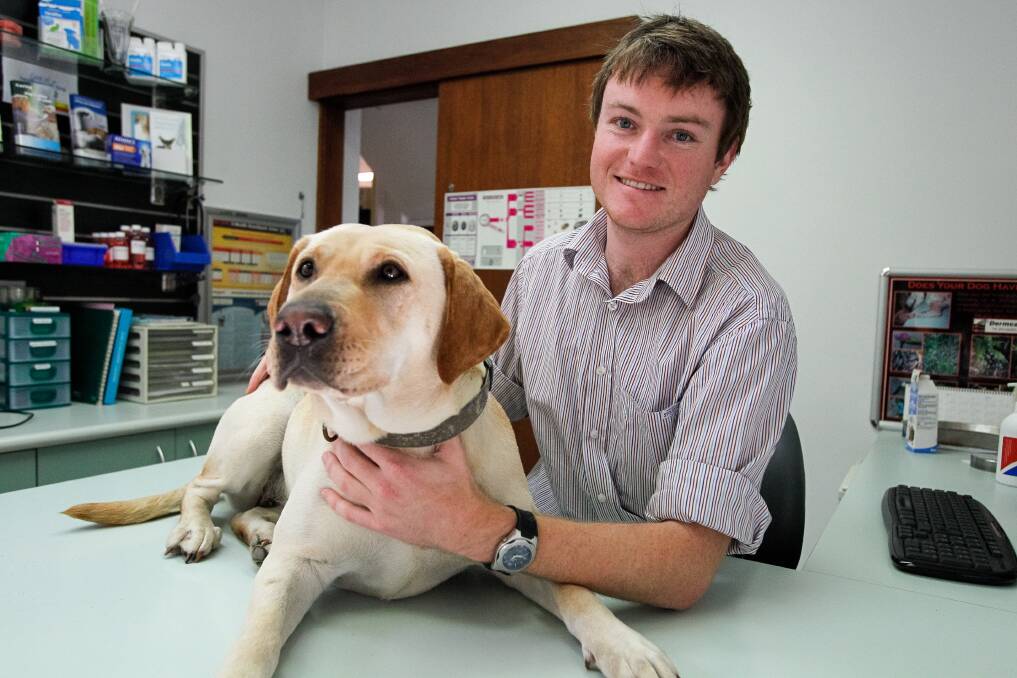 Ben Holding and his dog, Ellie, at Balgownie Veterinary Hospital, prepare for pet national desexing month in July. Picture: CHRISTOPHER CHAN