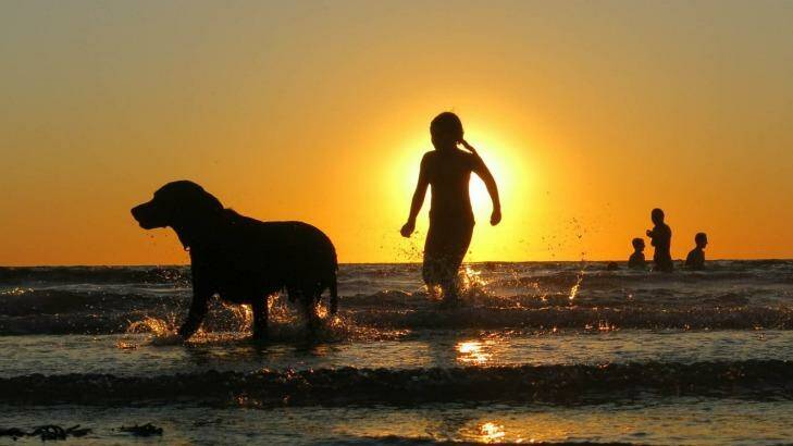 Dog days of summer across much of south-eastern Australia. Photo: Leigh Henningham