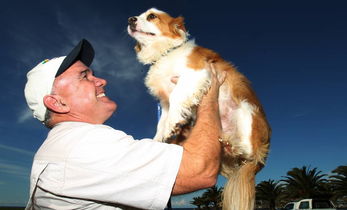 Kiama council ranger Tom Ward and Darcy the puppy are looking forward to the Canine Carnival on Saturday. Picture: GREG TOTMAN