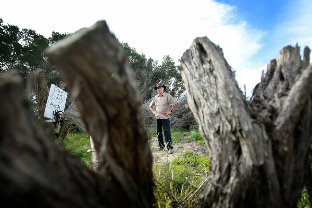 Kiama Downs resident Jim Bradley with some of the tree vandalism that has taken place at Jones Beach. Picture: SYLVIA LIBER
