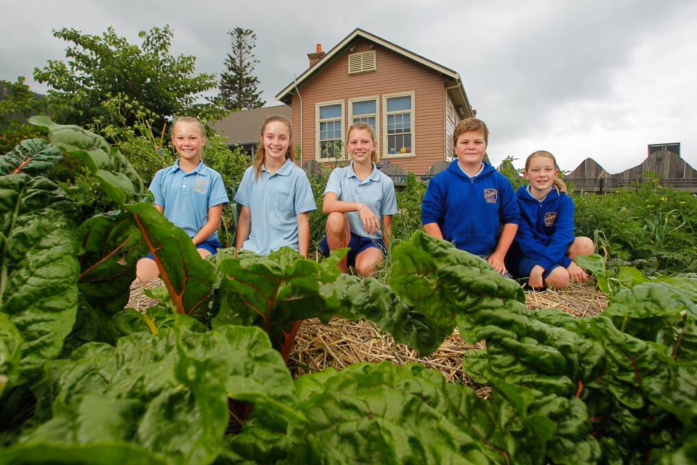 Coledale Public School students Charlotte Park, Amelie Abbott, Lilly Sellers, Kye Pearsall and Maya Bartlett are excited about being accepted into the Stephanie Alexander Kitchen Program and the chance to turn their produce into meals. Picture: CHRISTOPHER CHAN