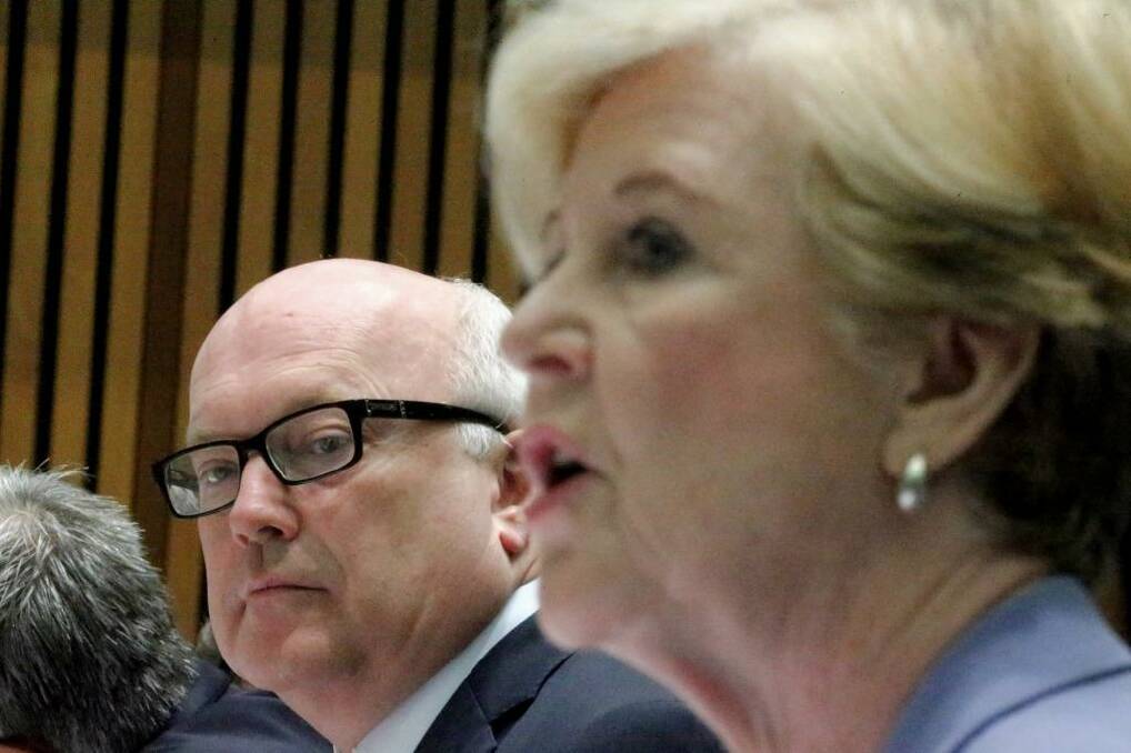Attorney-General Senator George Brandis and Professor Gillian Triggs, President of the Human Rights Commission, during a Senate hearing at Parliament House in Canberra on Tuesday. Photo: Alex Ellinghausen
