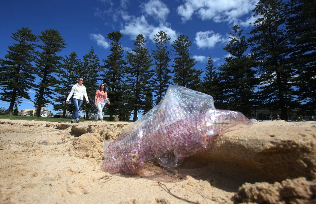 Illawarra beaches have been checked out by CSIRO. Picture: ROBERT PEET