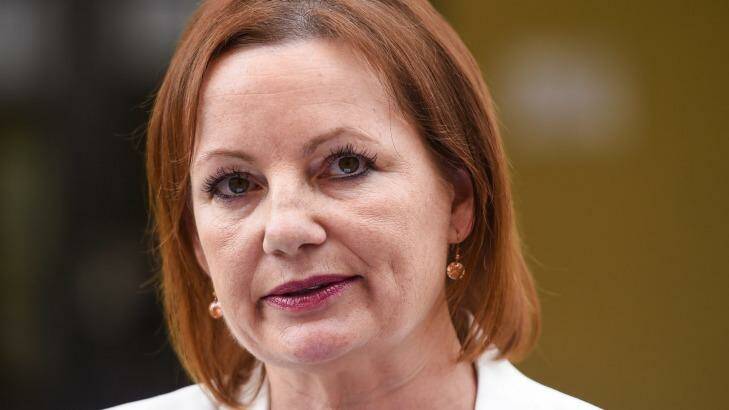 Sussan Ley, under fire for her use of travel allowances, has certified all her entitlements as being within the rules.  Photo: Mark Jesser