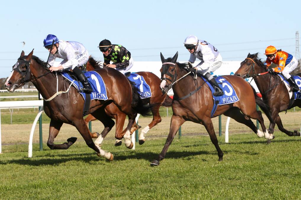 Apprentice Brodie Loy on Brilliant Meteor, one his four winners at Kembla on Saturday. Picture: GREG TOTMAN
