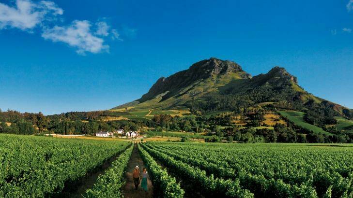Franschoek vineyards. Photo: South Africa Tourism