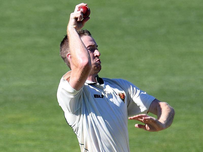 Tom Rogers' three wickets have Tasmania on top in the Hobart Shield match against South Australia.