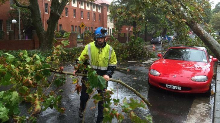 Trees down on Bourke Street in Surry Hills. Photo: Peter Rae