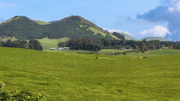 View of fields and volcanoes along Kohala Mountain Road in Big Island. Photo: pikappa