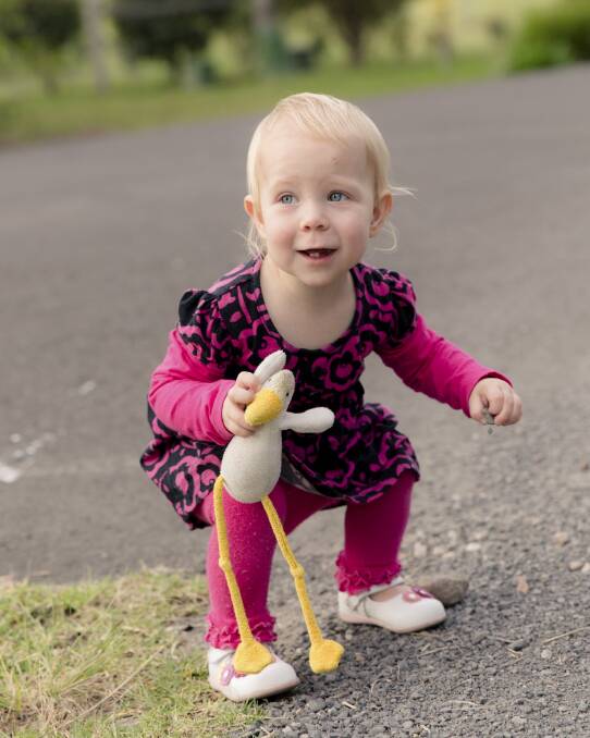 Pippa Hennessey, 2, with her much-loved seagull toy, which has gone missing. Picture: ON THE BALL PHOTOGRAPHY