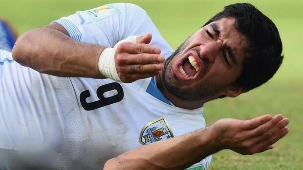 Facing a lengthy ban: Luis Suarez caught biting an opponent for the third time. Photo: Getty Images