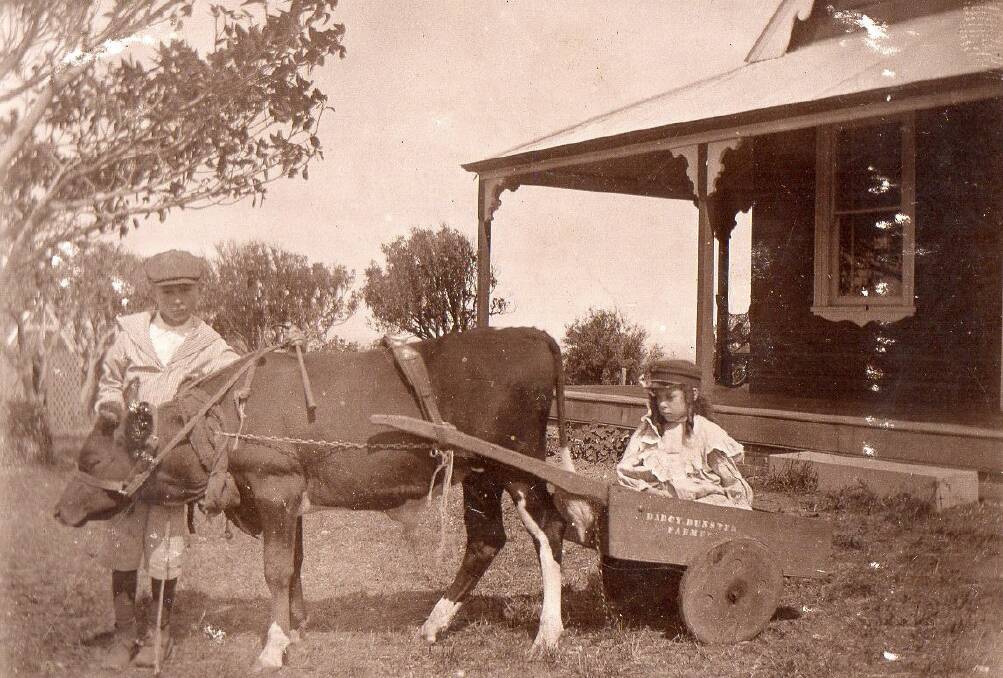 A couple of children, most likely Dunster family members with a cow cart at the Dunster home, The Hill.  The sign on the cart says Darcy Dunster Farm.