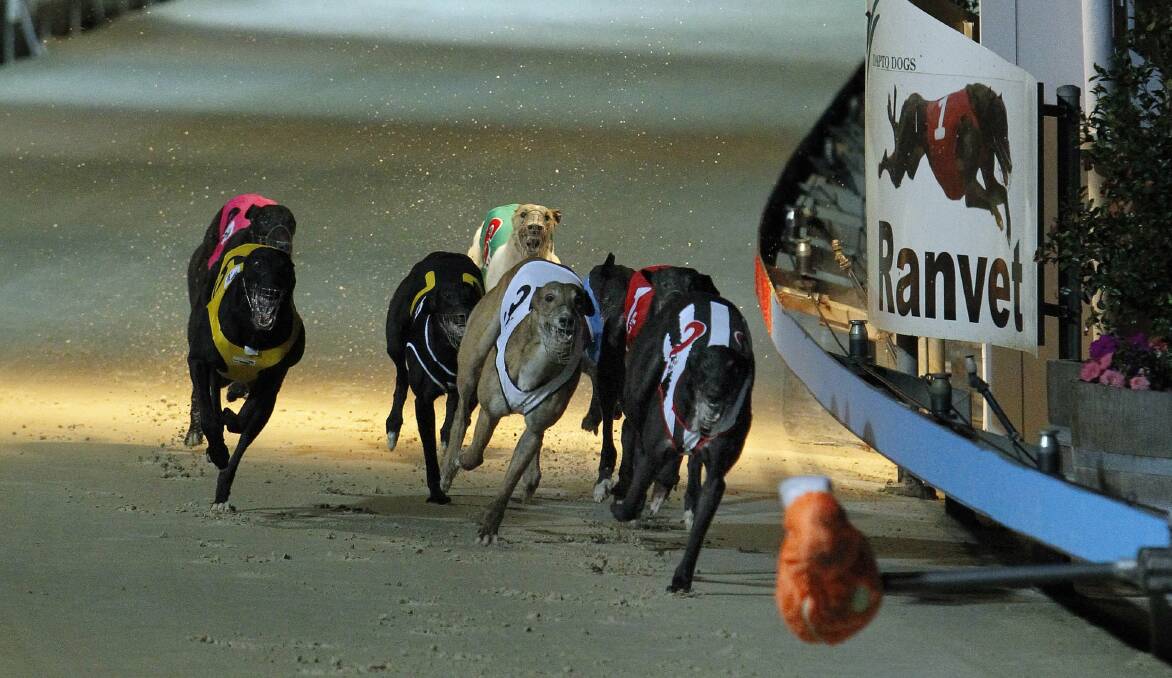 Should greyhound racing be banned?