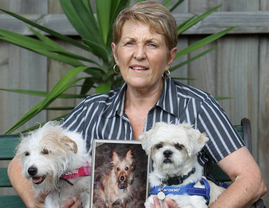 Remembrance: Councillor Helen Stewart with dogs Molly and Keira and the ashes and photograph of Pepper. Picture: GREG TOTMAN
