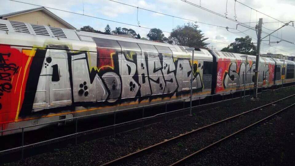 The vandalised train.