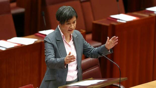 Leader of the Opposition in the Senate, Senator Penny Wong, speaks on the Carbon Tax Repeal Bill. Photo: Alex Ellinghausen