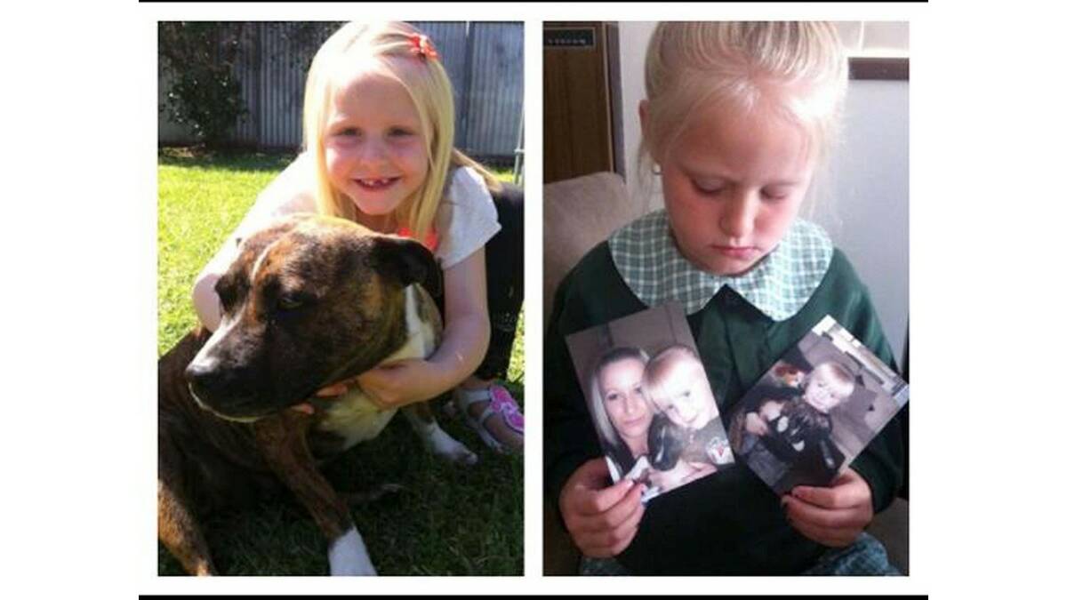 JAZELLE, the six-year-old daughter of Suzie Ingram, cuddles up to pet dog Narla (left), who was mistakenly euthanised by a Leeton ranger and (right) with photographs of Bruce and Narla.