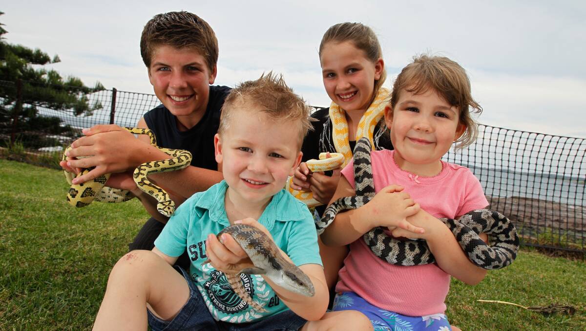 The Payne siblings Callum, 14, Damon, 3, Brooke, 12, and Ashlee 4, show off their pet snakes and lizard. The Illawarra Reptile Society’s show is at Kembla Grange Racecourse on April 13. Picture: CHRISTOPHER CHAN