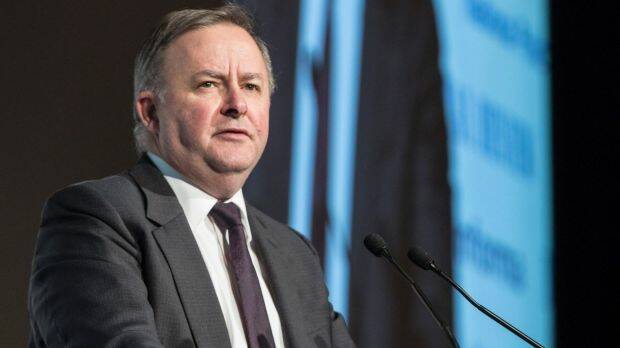 Federal opposition infrastructure spokesman Anthony Albanese condemned Mirvac's proposal on Thursday night.  Photo: Jessica Hromas
