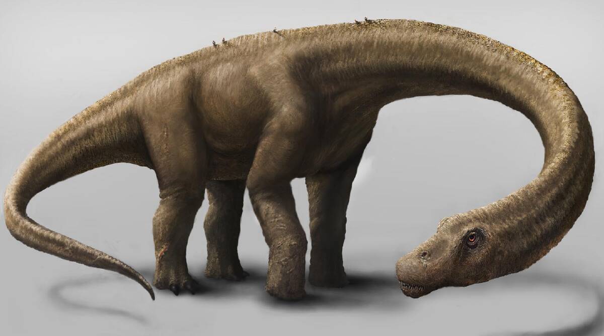 Dreadnoughtus schrani. Photo: Mark A. Klingler, Carnegie Museum of Natural History