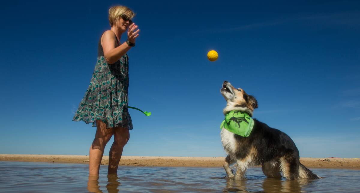 Donna Bennett plays with her dog Percy at Thirroul’s McCauleys Beach yesterday. Picture:  CHRISTOPHER CHAN