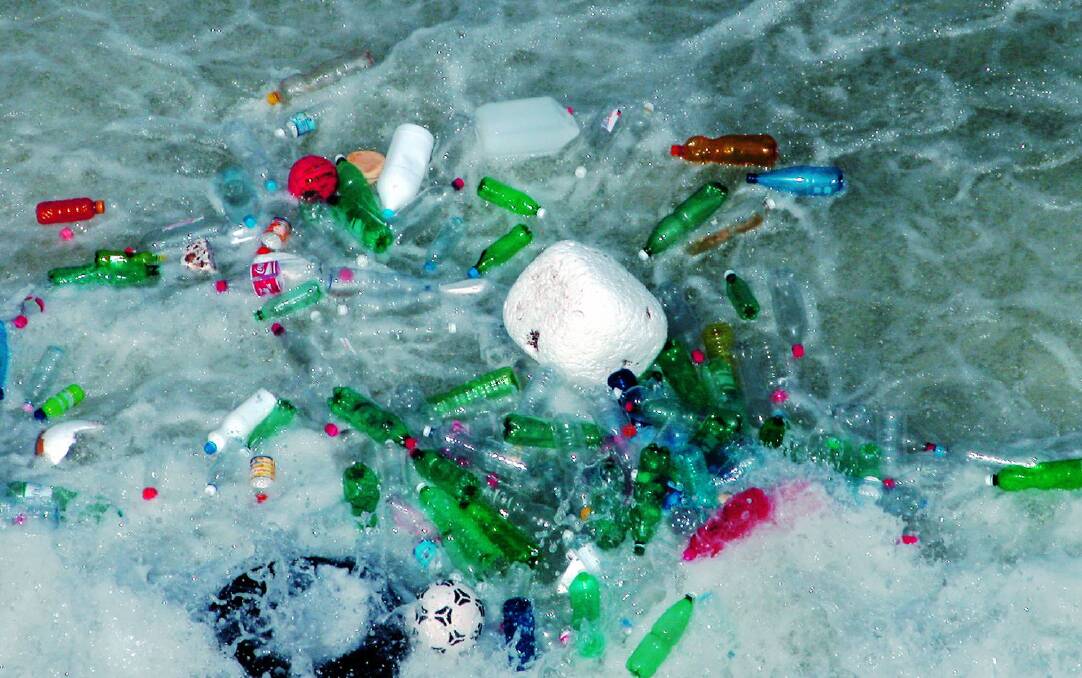 The report shows that 43 per cent of seabirds have ingested plastic.