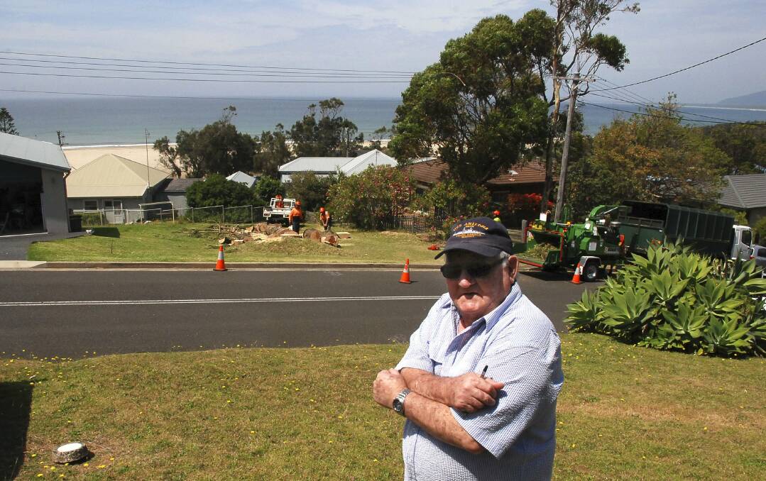 Now you see it, now you don’t:  The removal of a Norfolk pine in Riverleigh Avenue, Gerroa, left,  has upset neighbour Bernie Waddell and others in the street.