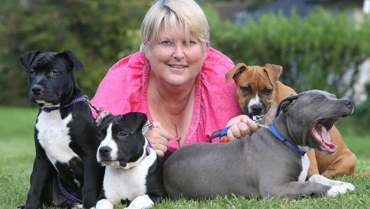 Karen Sloane with returned puppies Lexie (left) and Dakota, who have been reunited with brothers Bronson and Phoenix. Picture: KIRK GILMOUR
