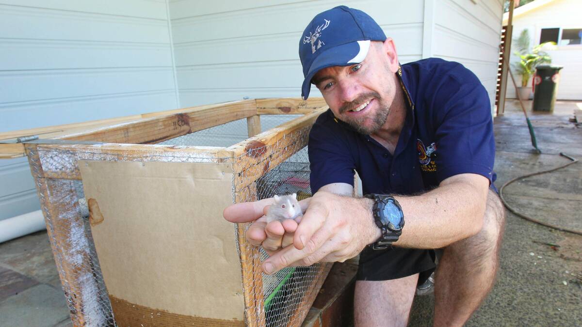 Brian Heap holds his son’s pet Noodles, which survived drowning in its cage. Picture: KIRK GILMOUR